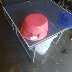Minnie Mouse Potty Chair