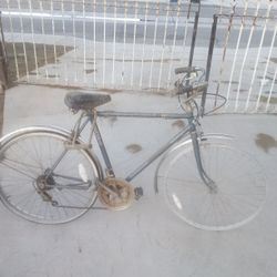 Brittany Multi Speed Bike