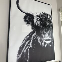 Highland Cow Wall Art - 30X40 B&W