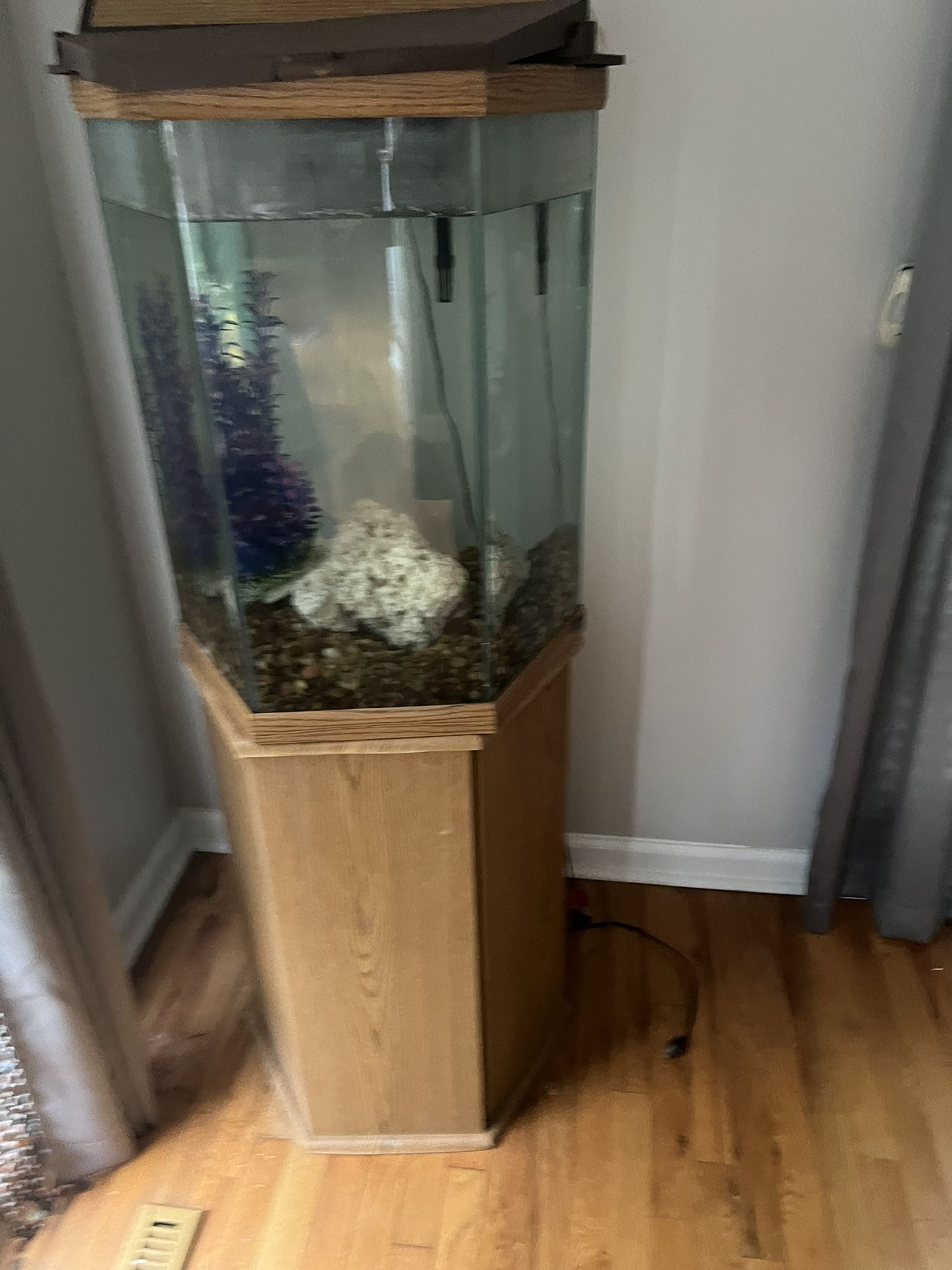 30 Gallon Aquarium