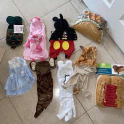 Halloween Costumes For Dogs And Pets 