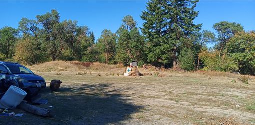 5 acres of madrona and some fur you need to cut down in 2 weeks