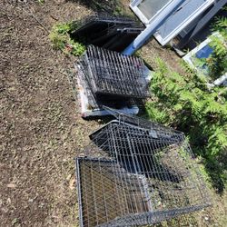 3 Dog Kennels Left $10 Each 