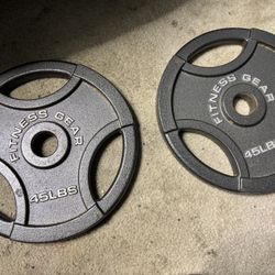 45LB WEIGHT PLATES 