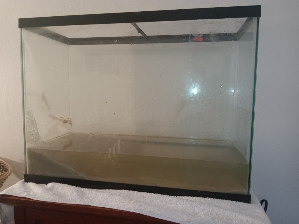 🐟🐟🐟Tank and Supplies 🐟🐟🐟