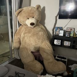 Gigantic Teddy Bear