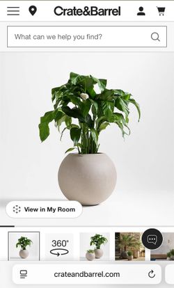 Crate & Barrel Outdoor Planter Vase