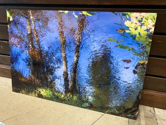 Tree Reflection Photo Print by Phyllis McDaniel