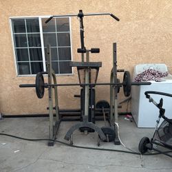 Weight Bench 