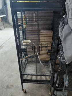 Bird cage 🐦