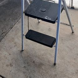 2 Ft Ladder