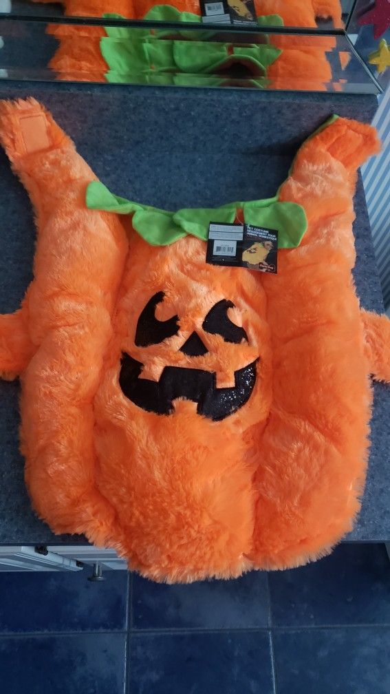 Pumpkin Dog Halloween Costume