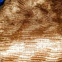 Casual Corner Gold Crinkled Sequined Top Large