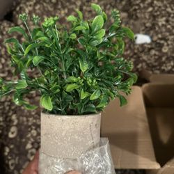 3 Pack Artifical Mini Plants 