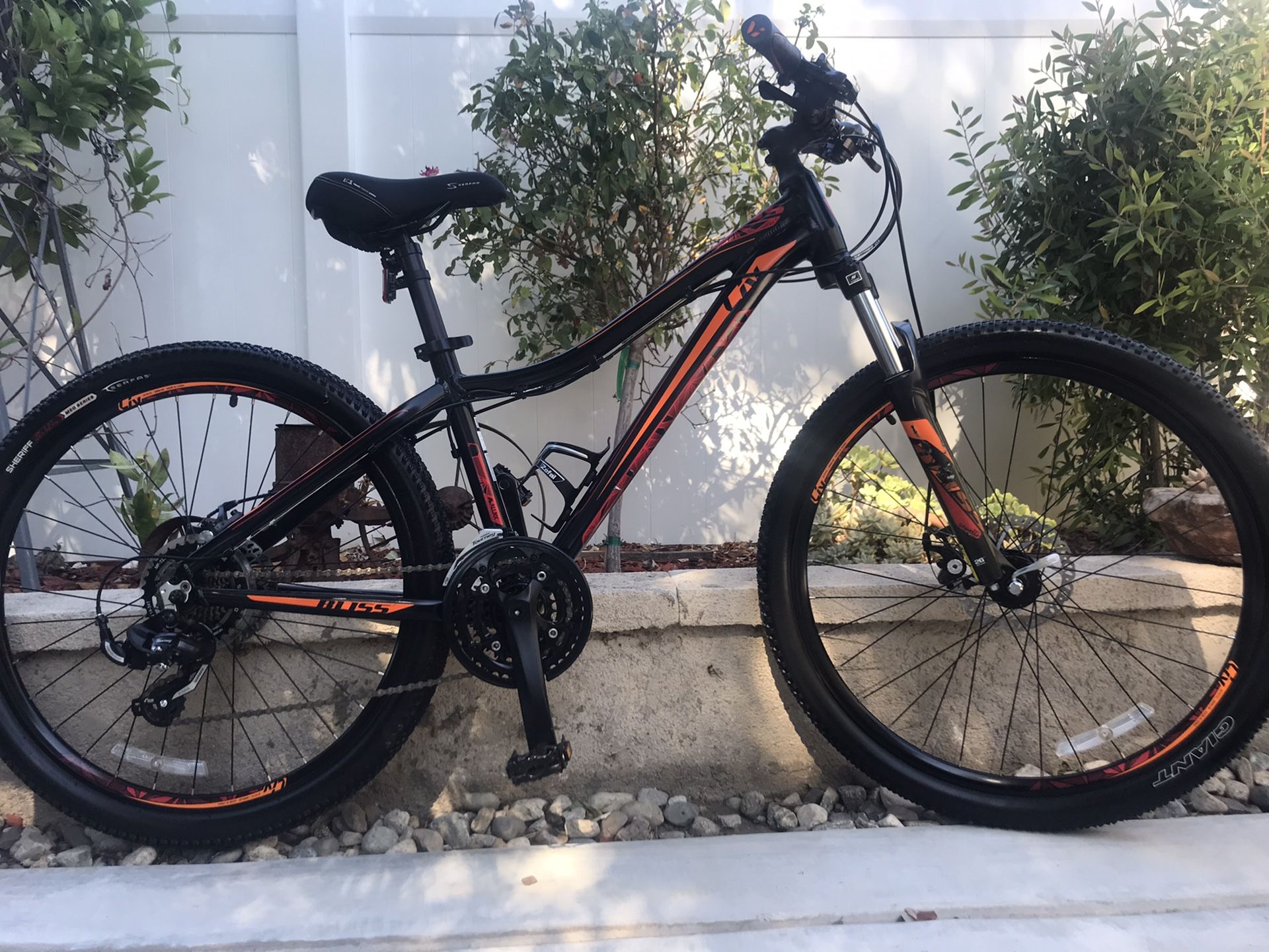 Giant Bliss mountain bike