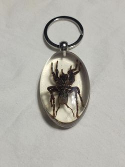 Spider Key Chain