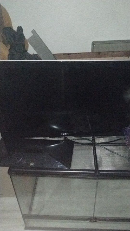 2 TVs (Stands Included)
