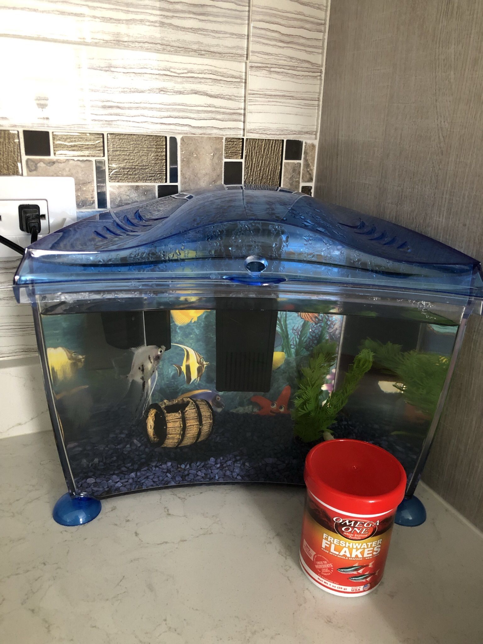 FISH TANK WITH FISHES AND FOOD AND FILTER