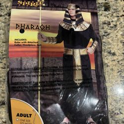 Pharaoh Costume 