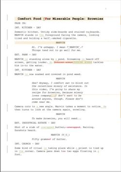Script writing/editing services