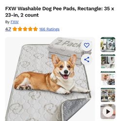 Pet Pee Pad 