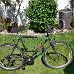 Vintage Univega Rover, Just Tuned Up