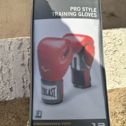 Everlast Pro Style Training Gloves 