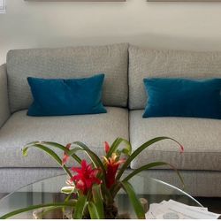 Crate & Barrel Tyson Apartment Sofa