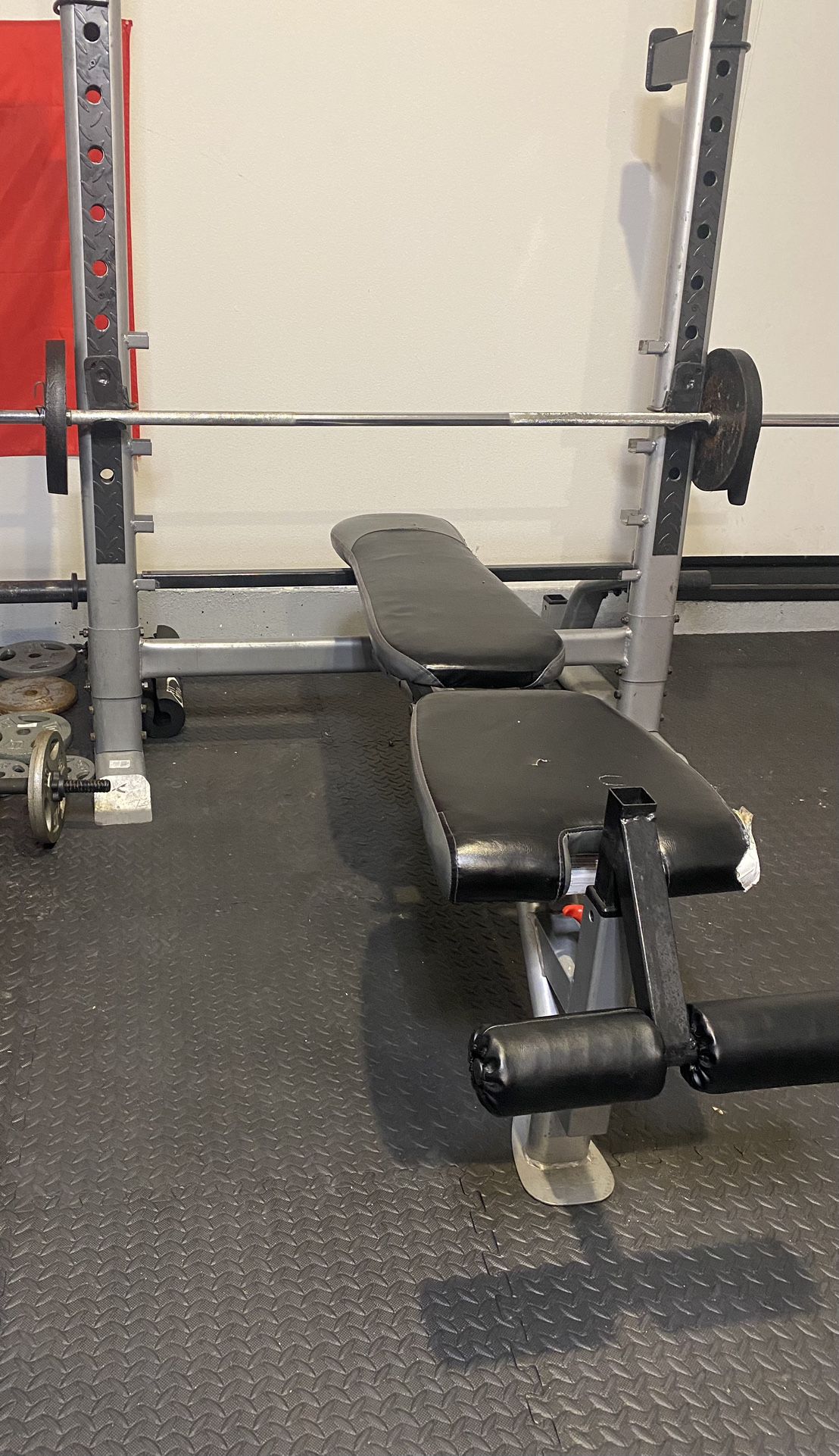 Bench Press with Weights Included 