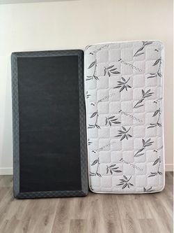 Twin Mattress & Box Spring