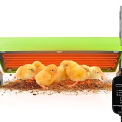 Chick BrooderBrooder Heater for Chicks Ducks and Birds Incubation Heating Keep Chicks Warm