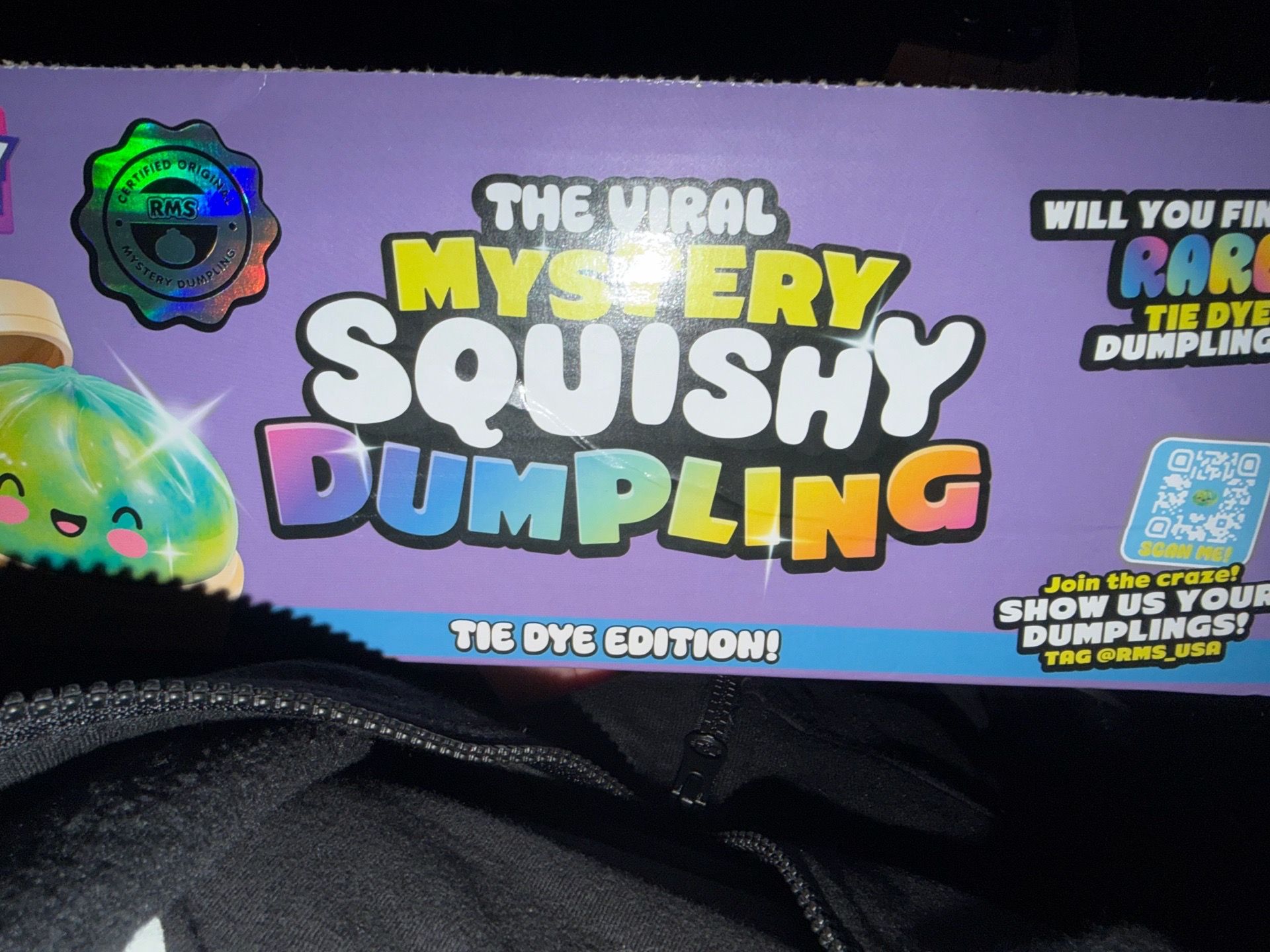 mystery dumplings