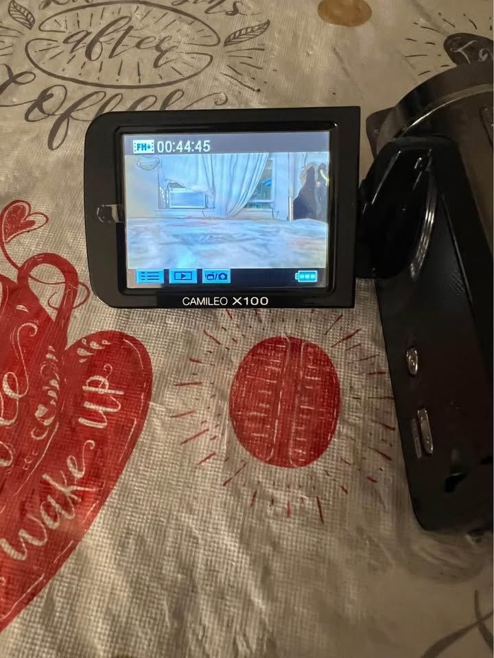 Toshiba CAMILEO X100 - Camcorder - 1080p - 10.0 MP - 10x optical zoom - flash 4 GB - flash card