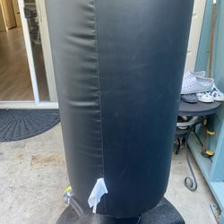 Century Punching Bag 50 