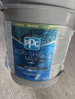 Ppg Paint
