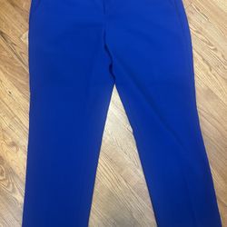Women Dress Pants Banana Republic Size 10 