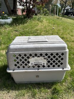 Big Dog Cage