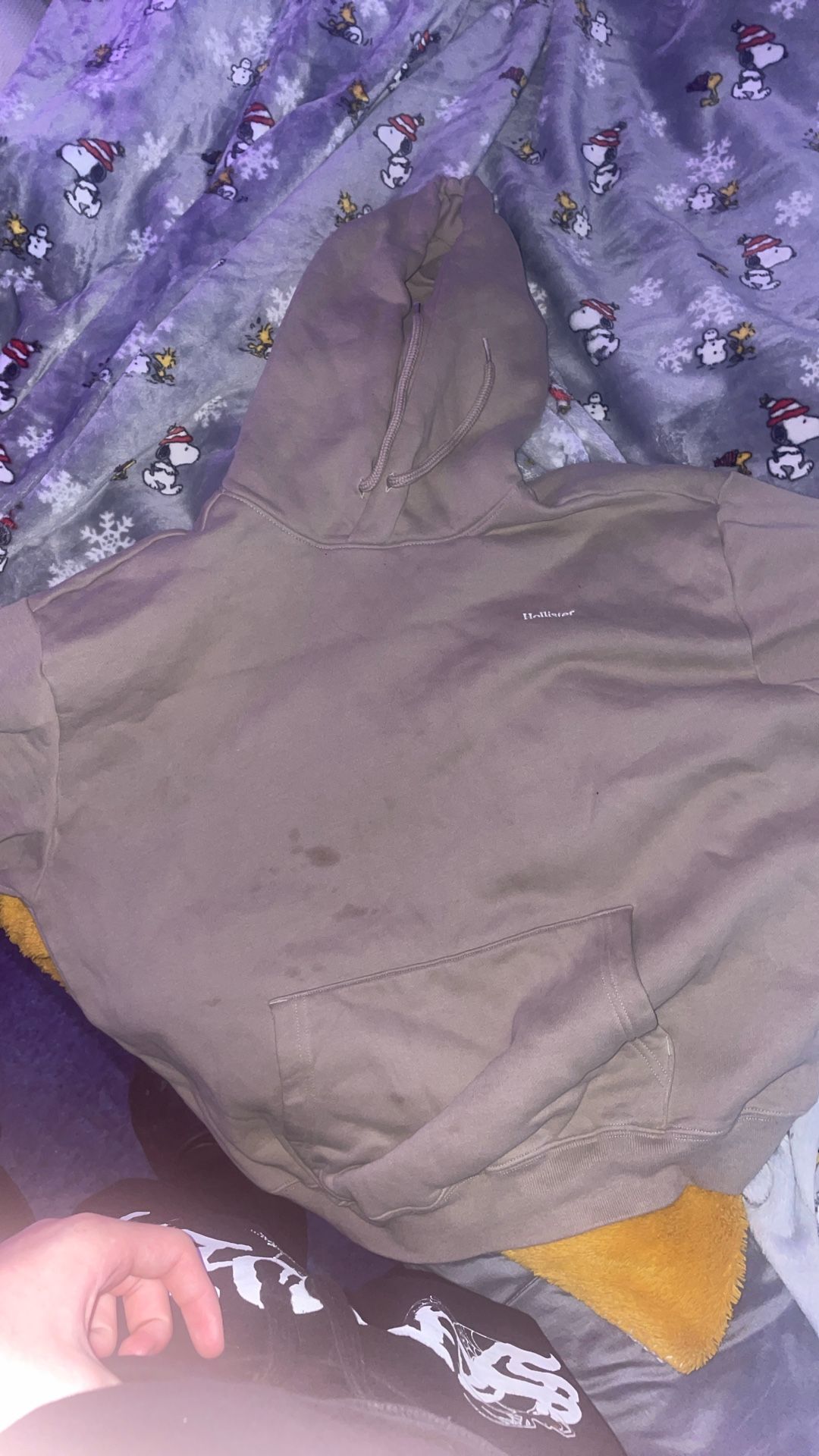 Brown Hollister hoodie