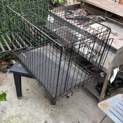 Dog Kennel