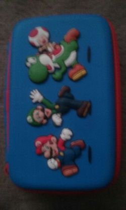 Nintendo 3DS case