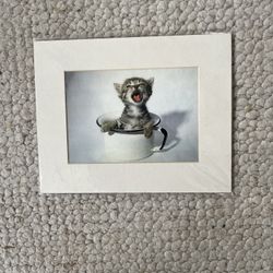 Cat Picture With Framing Matt 