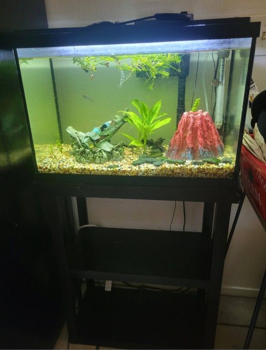 Aquarium With Stand $200 Pet carriers & Houses
