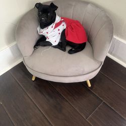 Cama Para Perrito Chiquito 