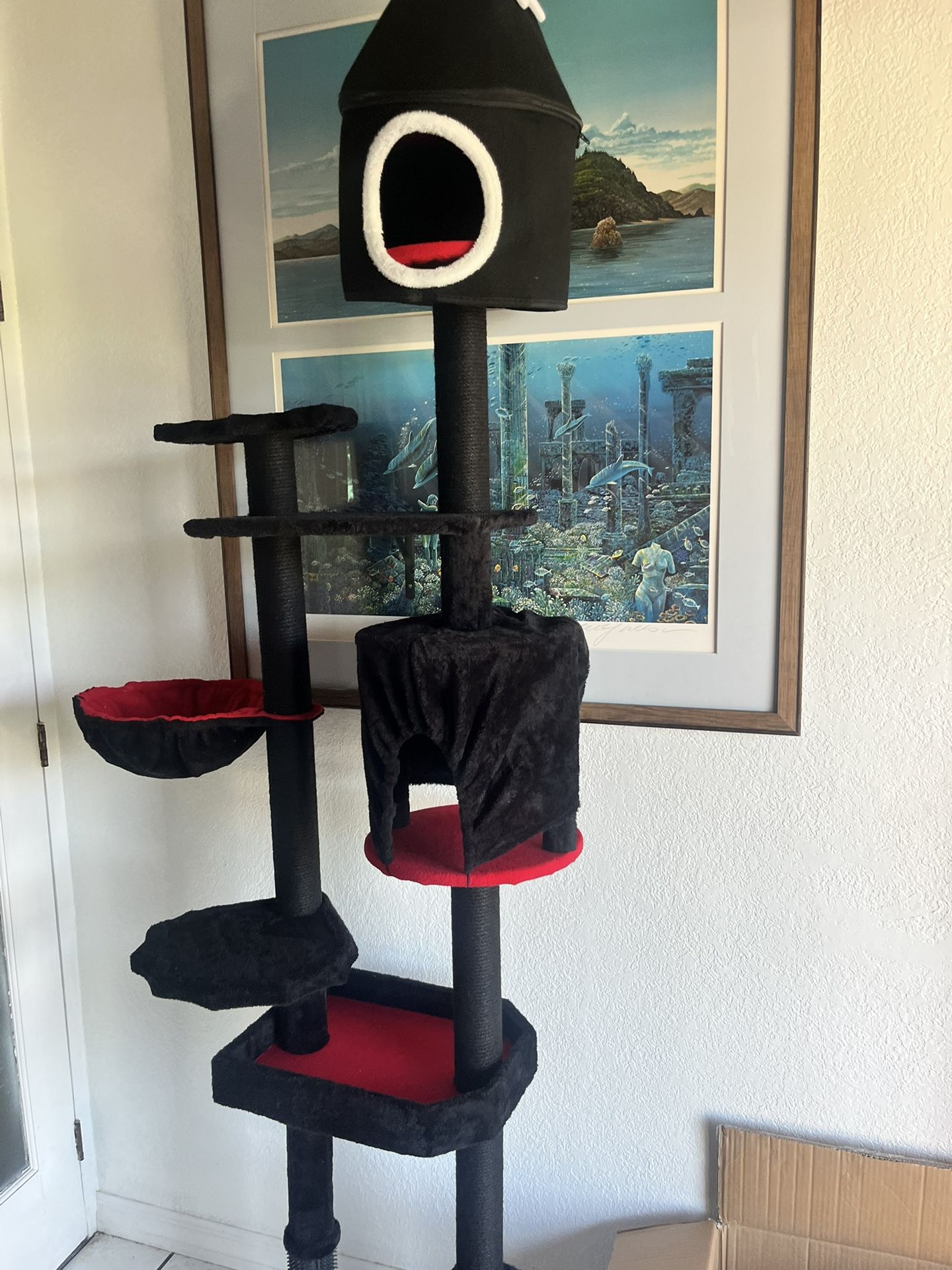 New Cat Tower - Hunny Just Put It Together