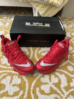 Lebron XII Low Size 9 100.00