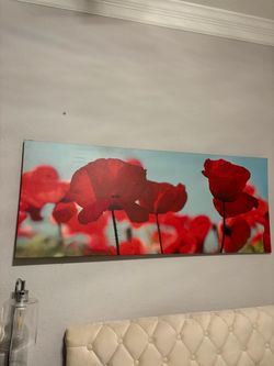Red Poppy Field Canvas Wall Art