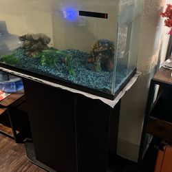 Fish-tank  30 Gallon With Base 