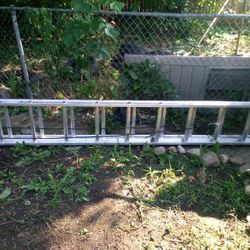 Ladder