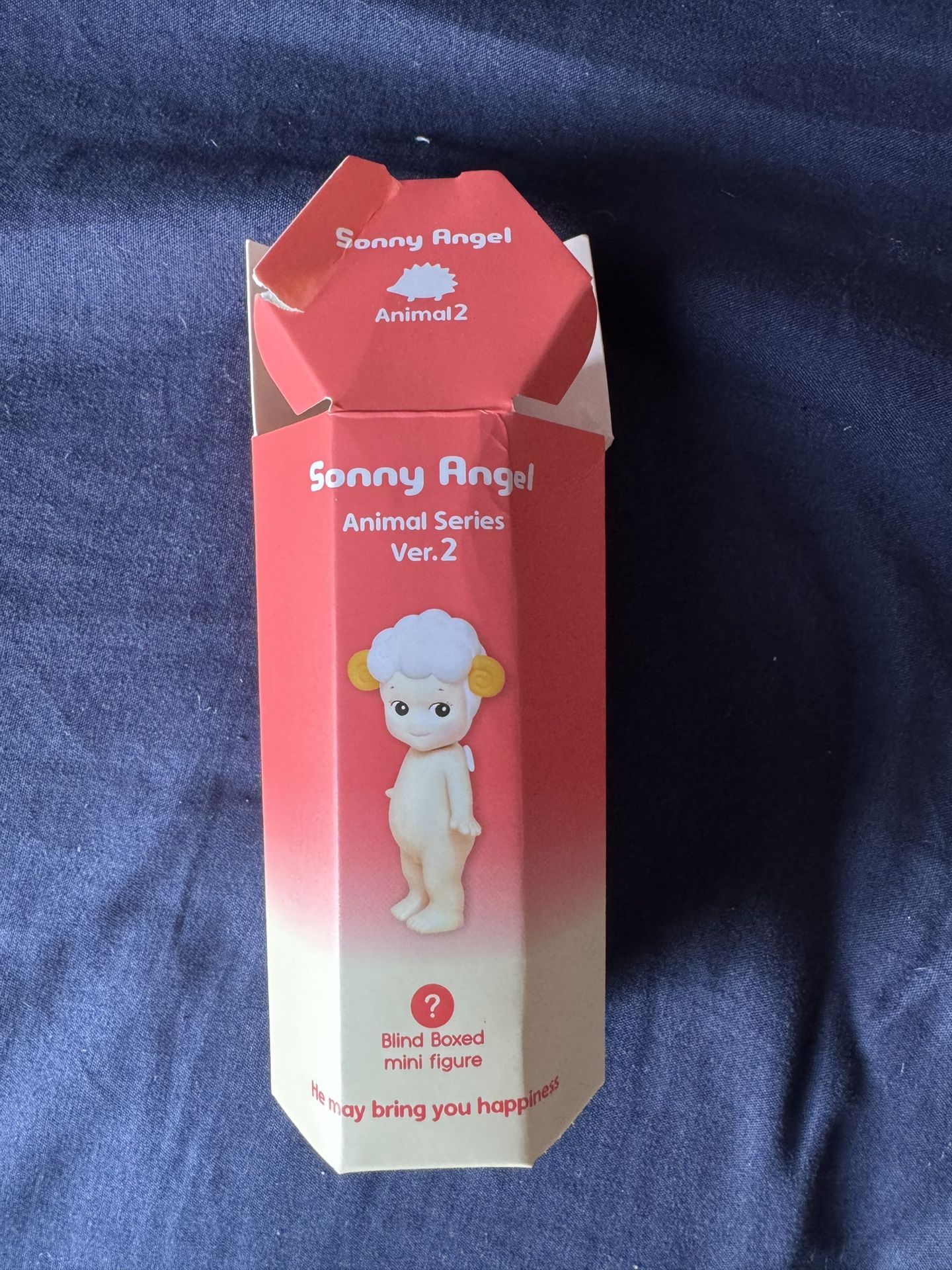 Sonny Angel Open Box