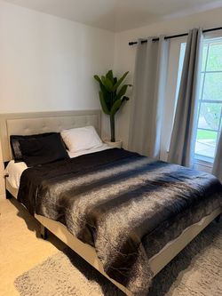 Contemporary Beige/Taupe Queen Bed and Mattress